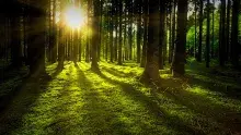 Belenos dios celta del sol