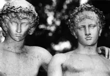 Cástor y Pólux, los Hijos de Zeus