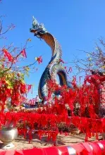 Las cuatro bestias sagradas de la mitología japonesa