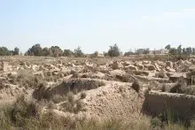 Restos de la ciudad de Bubastis en la que se rendía culto a la diosa Bastet