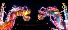 Dragón chino de luces