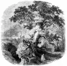 Grabado del siglo XIX con druidas celtas