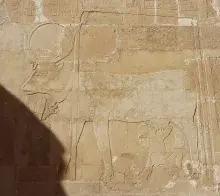 Hathor como diosa vaca en Deir el Bahari