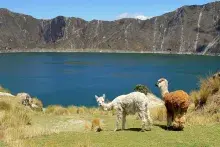 Illapa dios inca del trueno y la tormenta