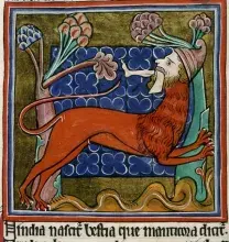 La mantícora en un manuscrito medieval