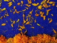 Flores del día de muertos y el Mictlán