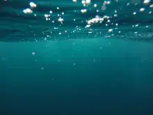 Nereo, el anciano del mar, en la mitología griega