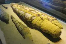 Momias de cocodrilos creadas en honor de Sobek