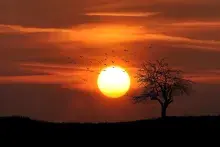 El dios Tonatiuh dios del sol azteca en un códice