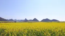 Tudi Gong, dios chino de la tierra