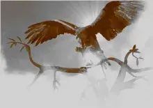 Águila en la cima de Yggdrasil